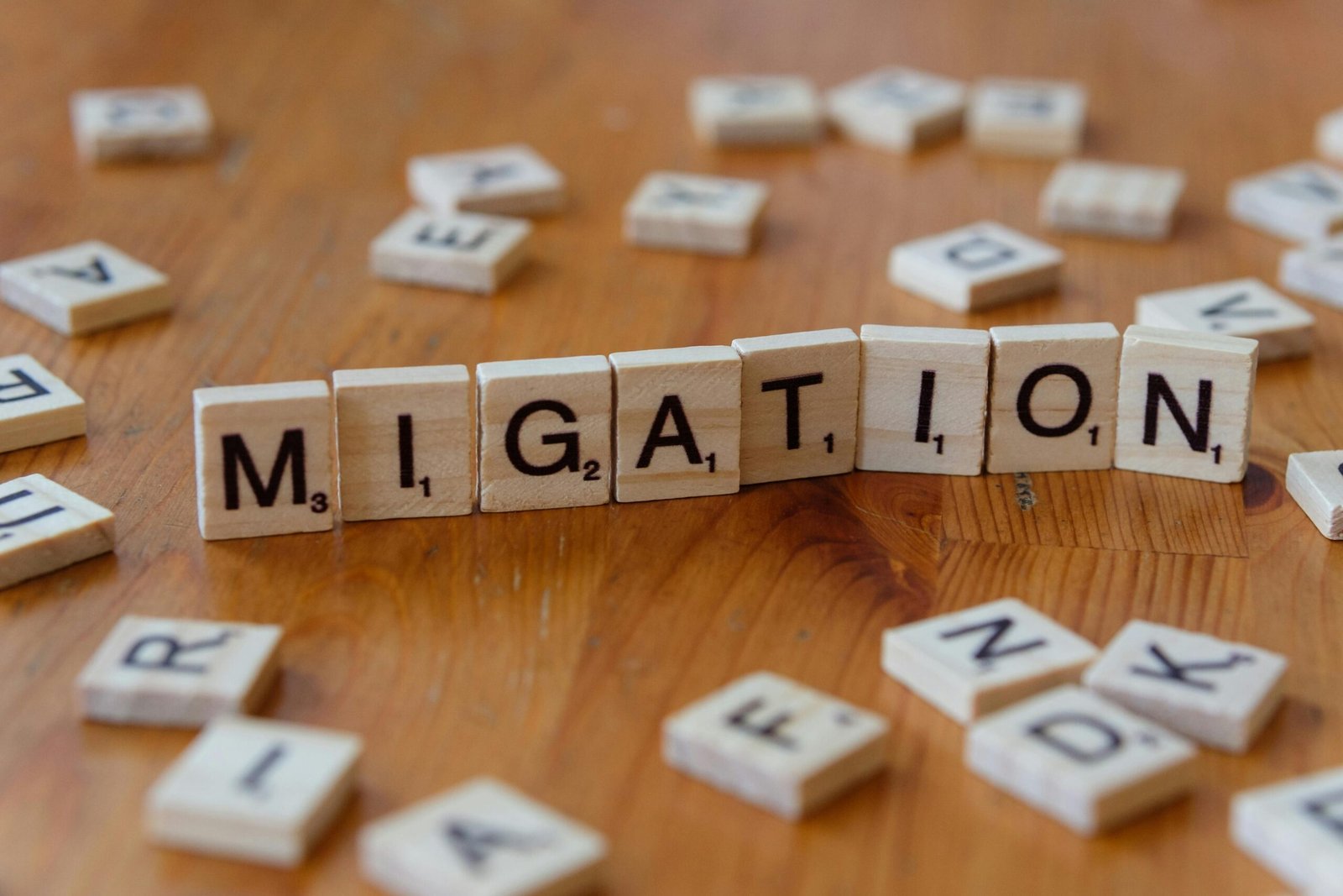 Immigration Wooden Scrabble tiles spelling